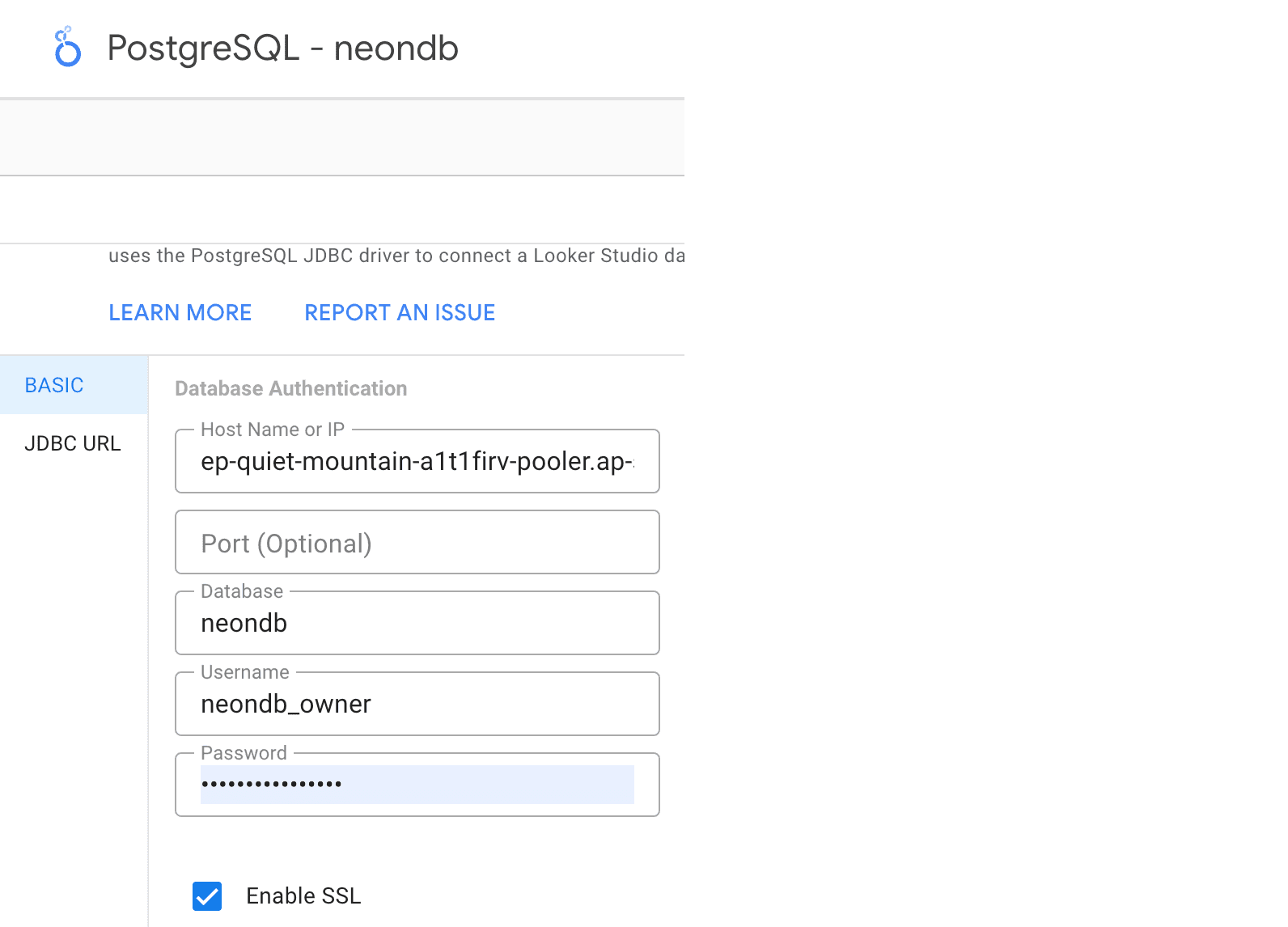 Looker studio connection details